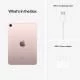 Apple iPad mini 6ᵉ génération  (Wi-Fi + Cellular, 256GO) - Rose