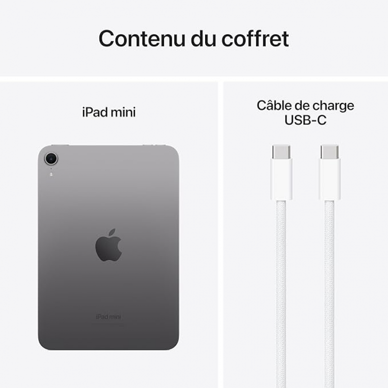 Apple iPad mini (7e génération, 8,3 pouces, Wi-Fi, 512 Go) - Gris sidéral