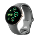 Google Pixel Watch 3 Wifi (41mm) — Boîtier Champagne Doré avec Bracelet Vert Sauge 