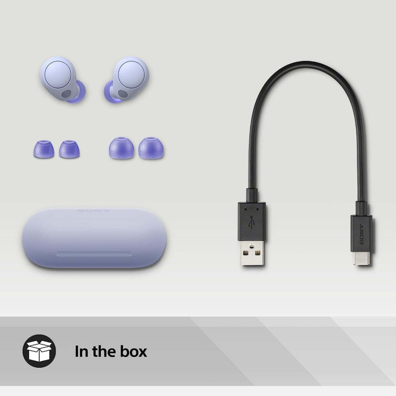 Sony WF-C700N Écouteurs Bluetooth sans Fil - Lavande