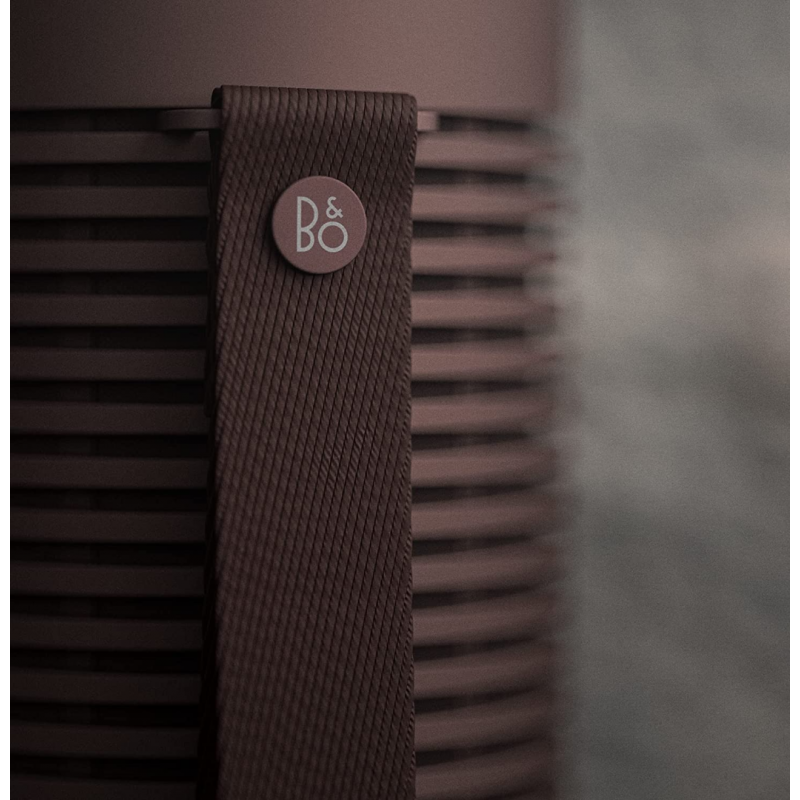 Bang & Olufsen BeoSound Explore Enceinte Bluetooth Portable Sans - Marron