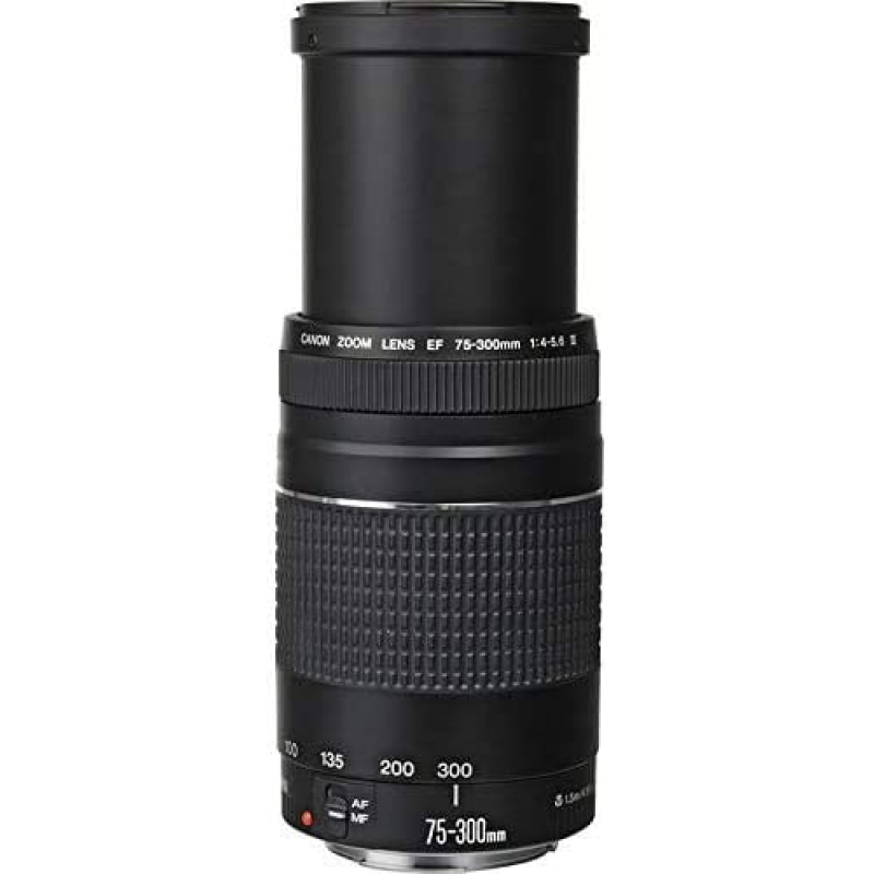 Canon EF 75-300mm F4.0-5.6 III Lens