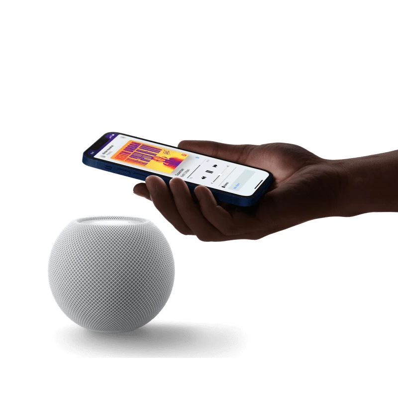 Apple HomePod mini - gris sidéral